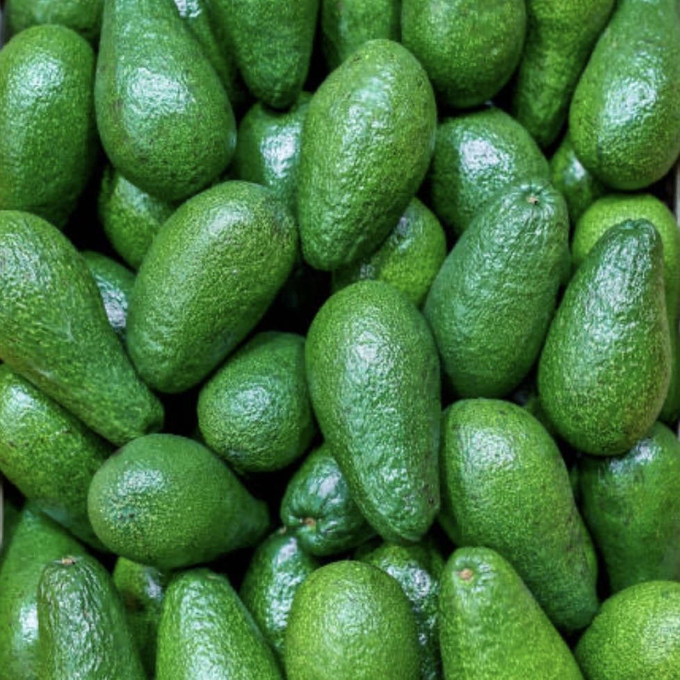 lasma dikara indonesia avocado export lasma dikara indonesia avocado export