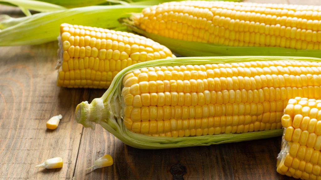 lasma dikara indonesia corn export