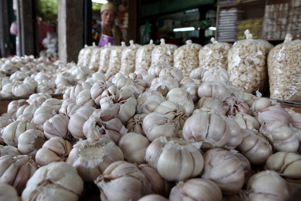 lasma dikara indonesia garlic export