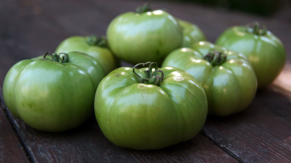 lasma dikara indonesia greentomatoes export