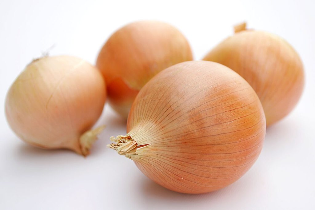 lasma dikara indonesia onion export