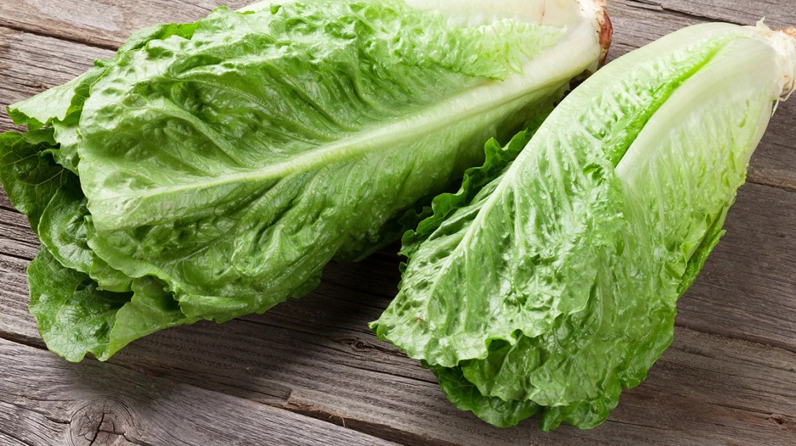 lasma export lettuce lasma export lettuce